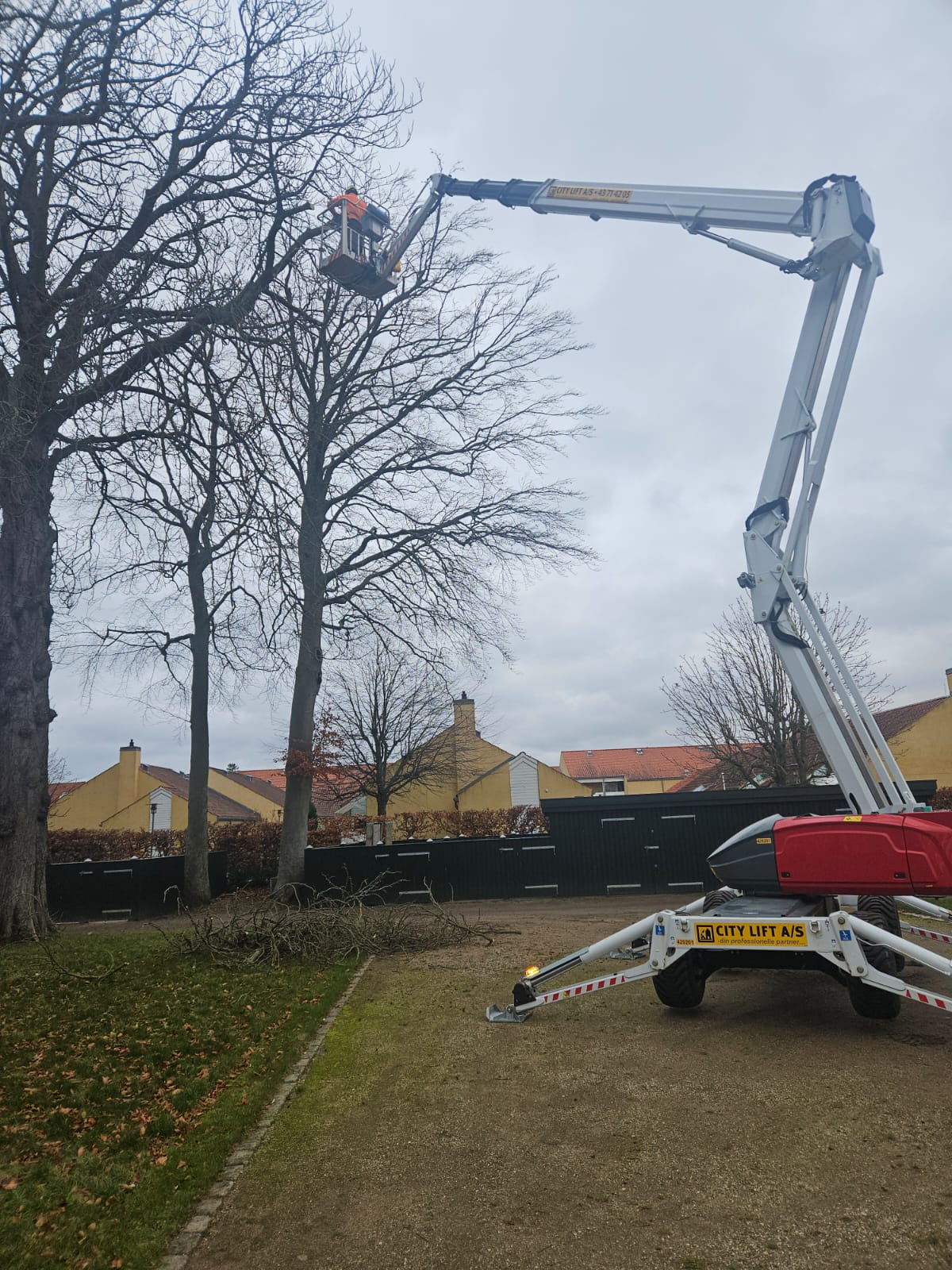 ID Træpleje i arbejde